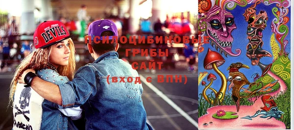 герыч Бронницы