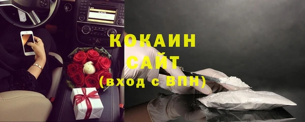 шишки Белокуриха