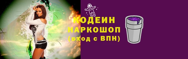 прущий лед Бородино