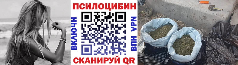 Купить где  Губкин  Галлюциногенные грибы мухоморы 
